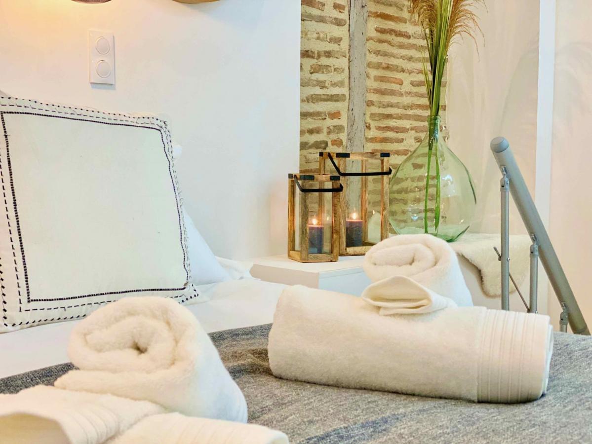 La Parenthese Occitane Apartment Castres  Ngoại thất bức ảnh